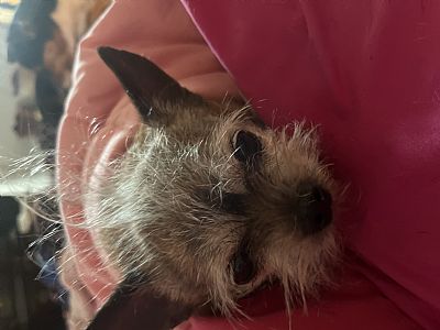 Sandiea99 profile photo