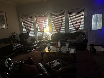 Sandiea99 profile photo