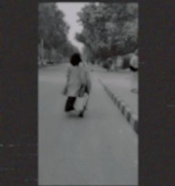 rafiafayyaz profile photo