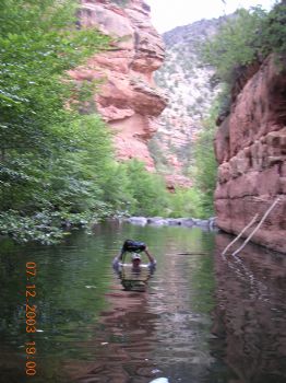 nate81 profile photo