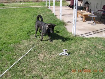 nate81 profile photo