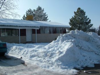 rschneider profile photo