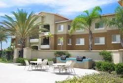 frogem67 profile photo