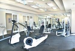 frogem67 profile photo