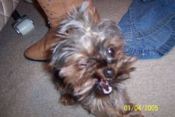 Joonbug profile photo