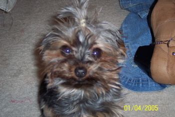 Joonbug profile photo