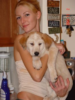 aevangel profile photo