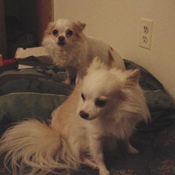 tolrem profile photo