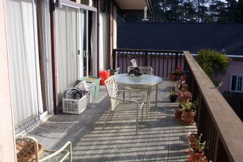 halfpint2883 profile photo