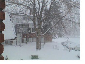 monishashukl profile photo