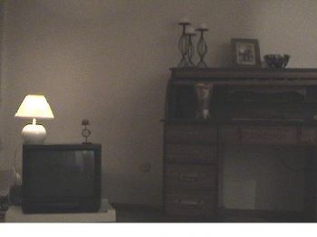 monishashukl profile photo