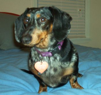 matazz profile photo