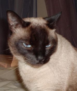 aconrad profile photo