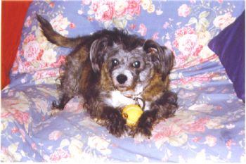 jlusky profile photo