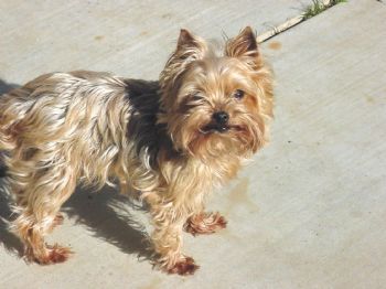 jlusky profile photo