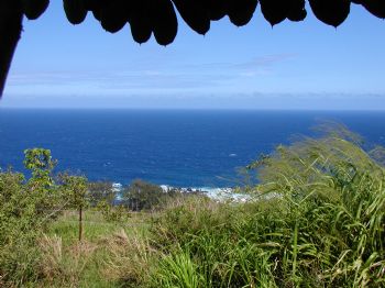 tuurtle profile photo