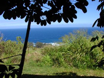 tuurtle profile photo