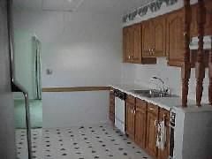 nellis4 profile photo