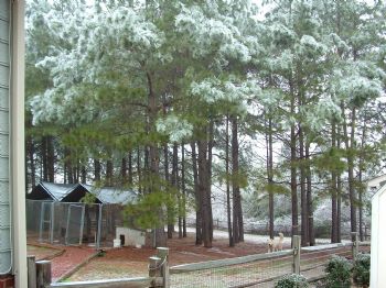 FierclyDrivn profile photo