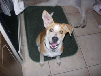 Sharla81183 profile photo