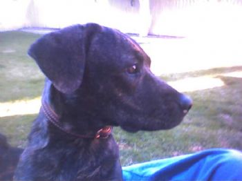 roomietwelve profile photo