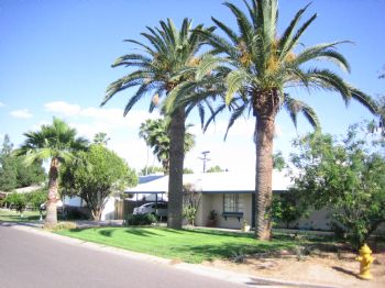 roomietwelve profile photo