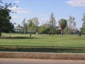 roomietwelve profile photo