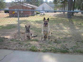 MEME71 profile photo