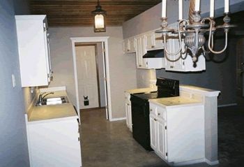 davidstu profile photo