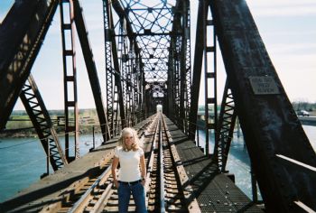 intllgntblnd profile photo