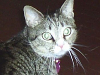 xxaxmxmxyxx profile photo