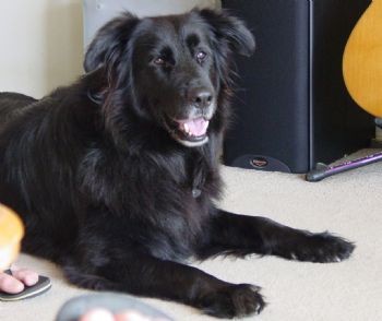 missgreer profile photo