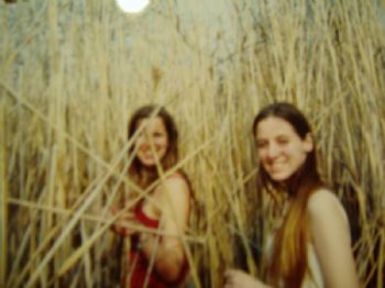 lmahaffy profile photo