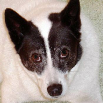 rbirkemeyer profile photo