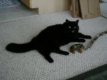 rbirkemeyer profile photo