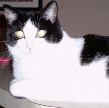 rbirkemeyer profile photo