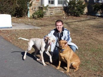 Ciprian profile photo