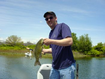 martinmanfan profile photo