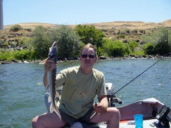 martinmanfan profile photo