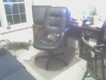 joshof02 profile photo