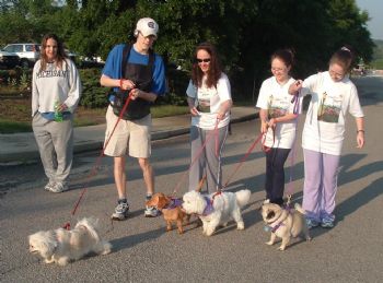 rposton profile photo