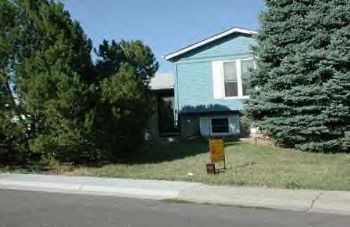 catspaw profile photo