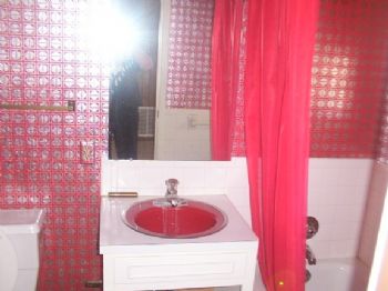 txladyblue profile photo