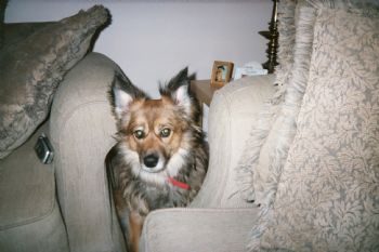 Maryann31 profile photo