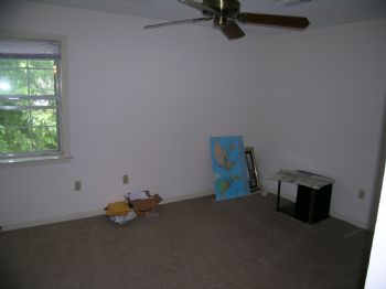 curlysue profile photo