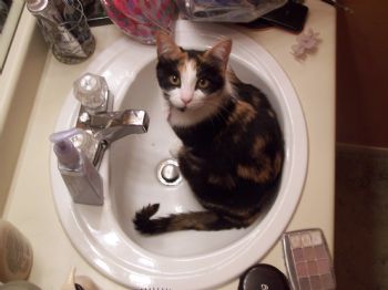 erinthegreat profile photo