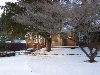 Zarine profile photo