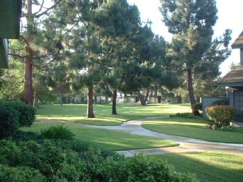 Rosy73 profile photo