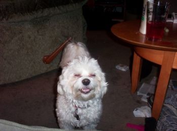 juliestar43 profile photo