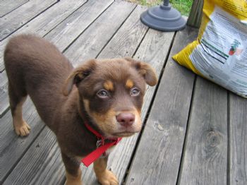 ruskl30 profile photo